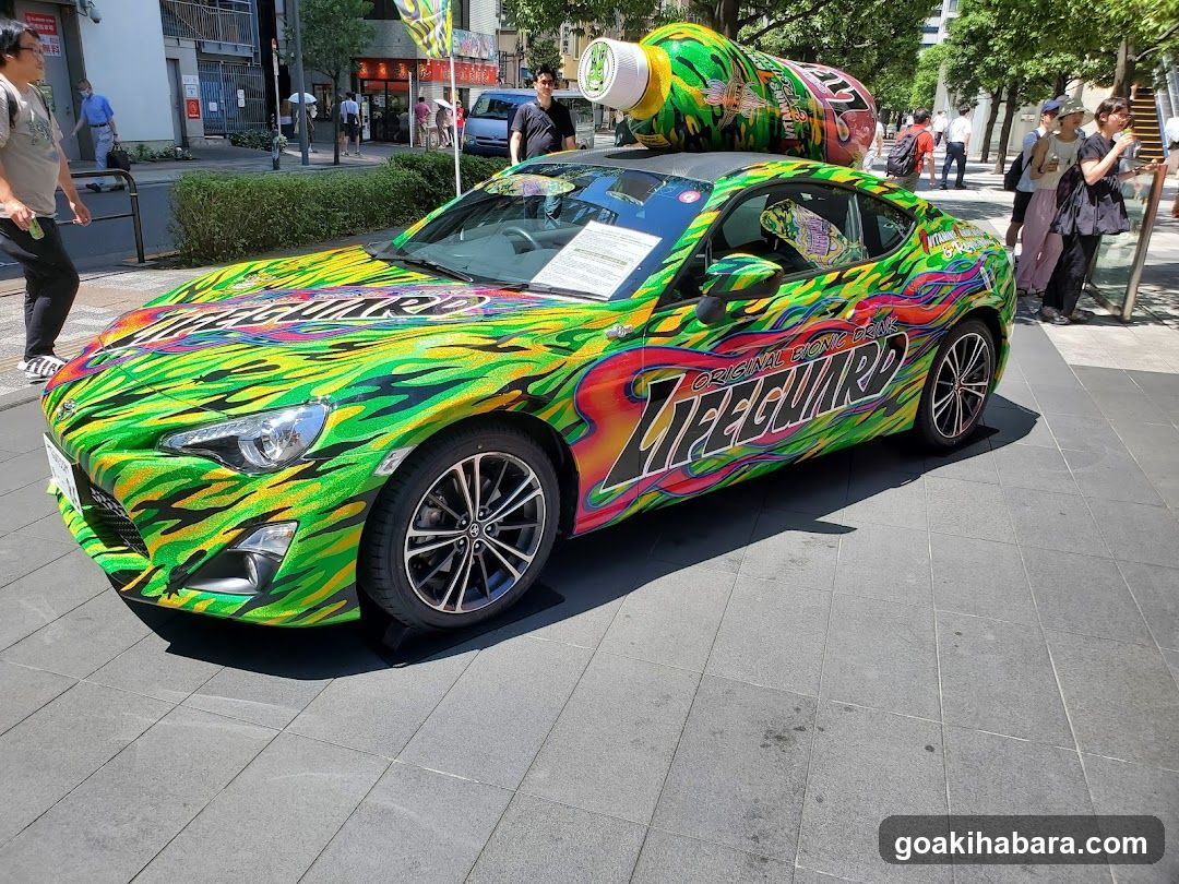 Lifeguard Car Display