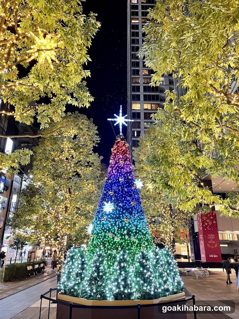Christmas Tree Display