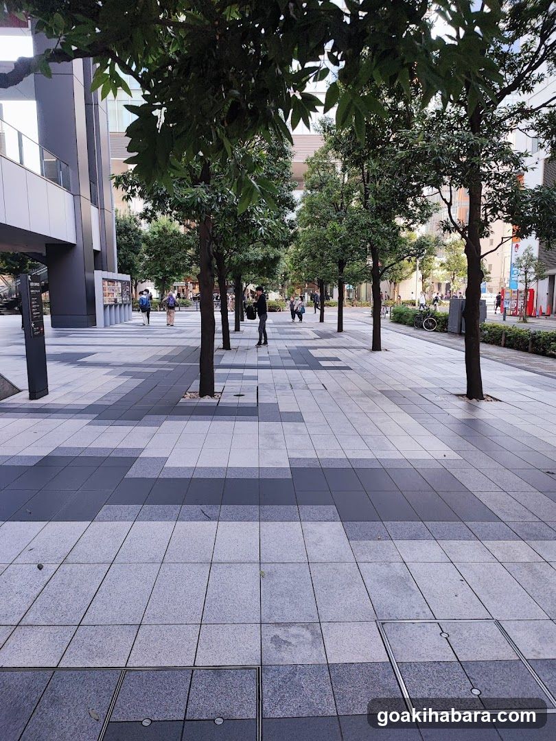 Urban Pedestrian Walkway with Trees