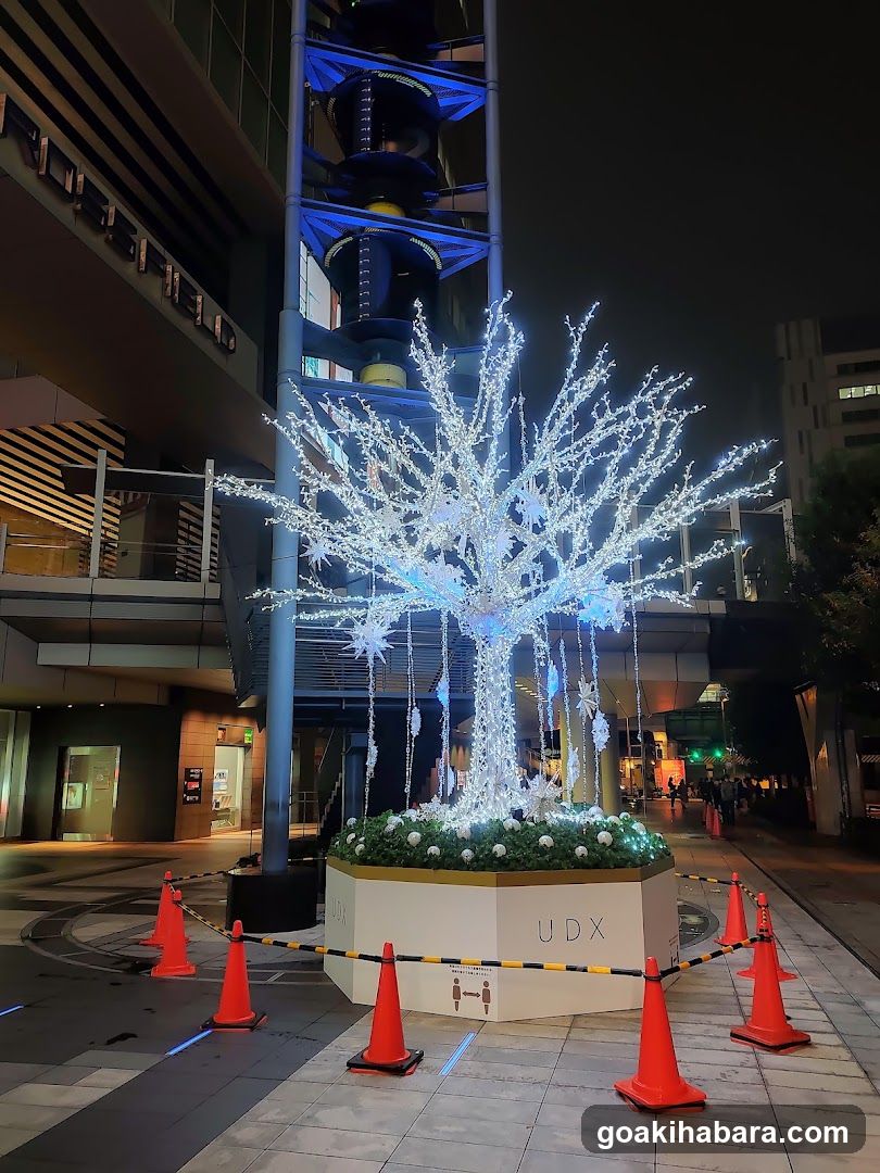 Night scene with illuminated tree display