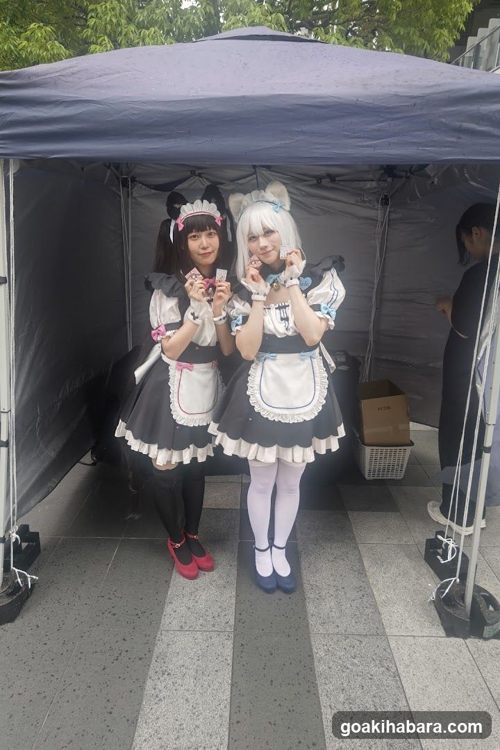 Coser Photo