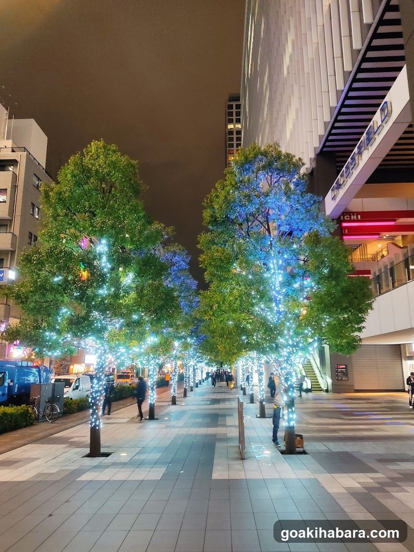 Night Street with Decorated Trees