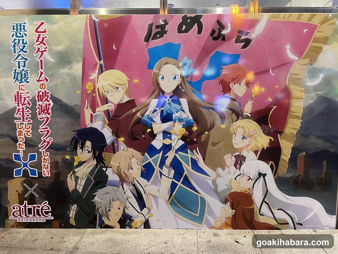 Anime Poster Display