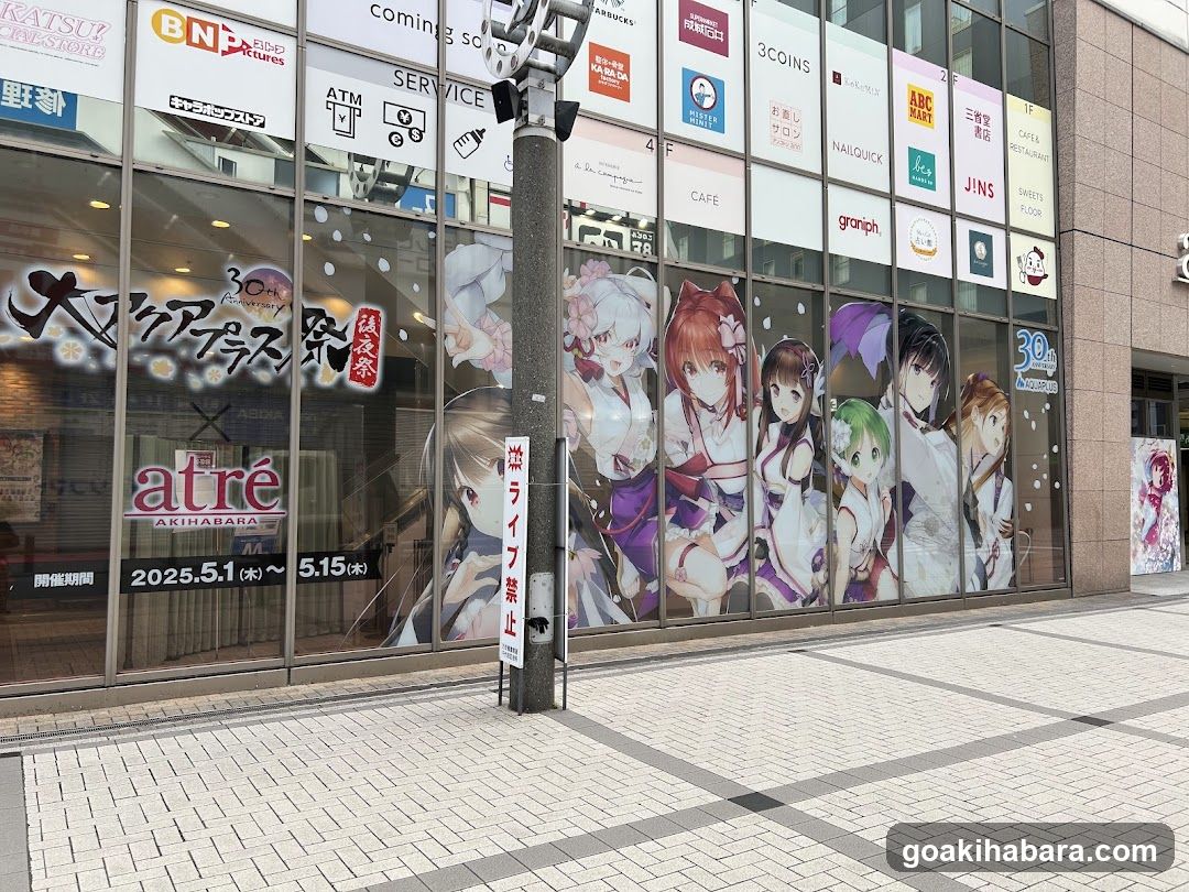 Akihabara Storefront with Anime Posters