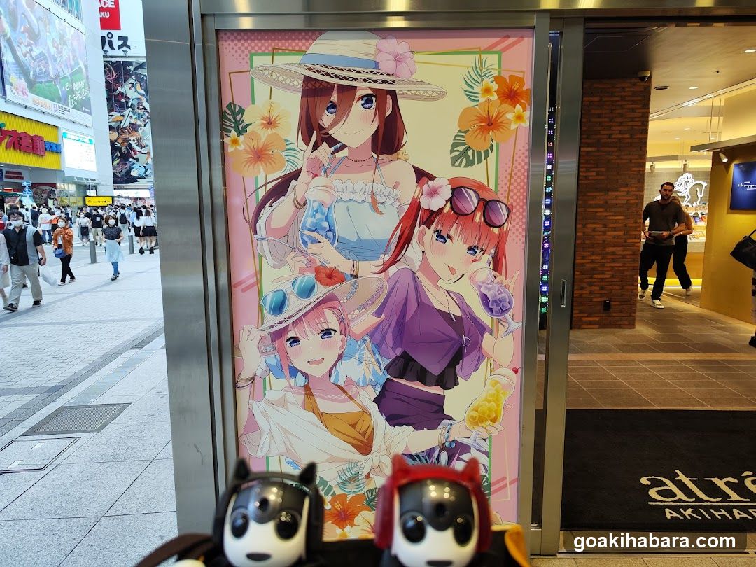 Anime Poster Display