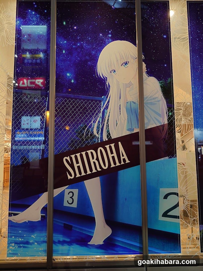Anime Storefront Display