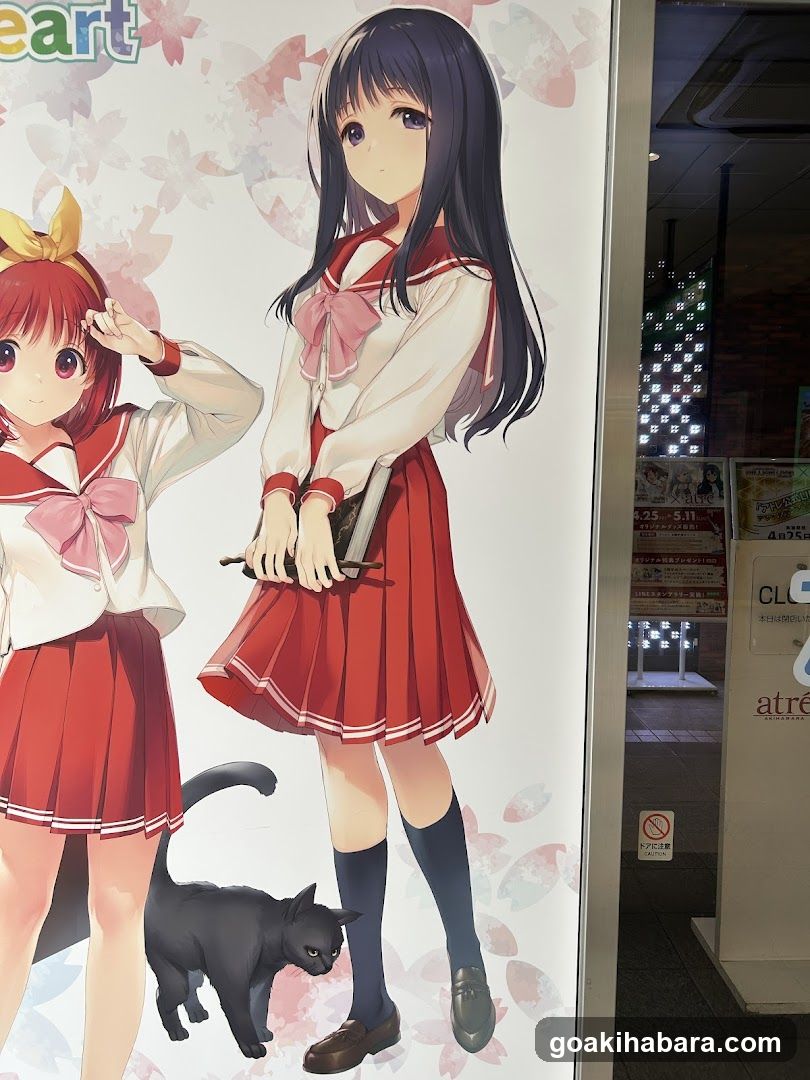 Anime Poster Display