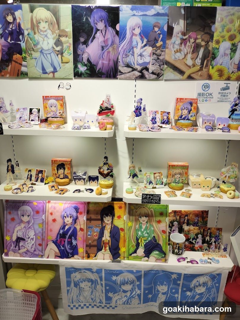 Anime Merchandise Display