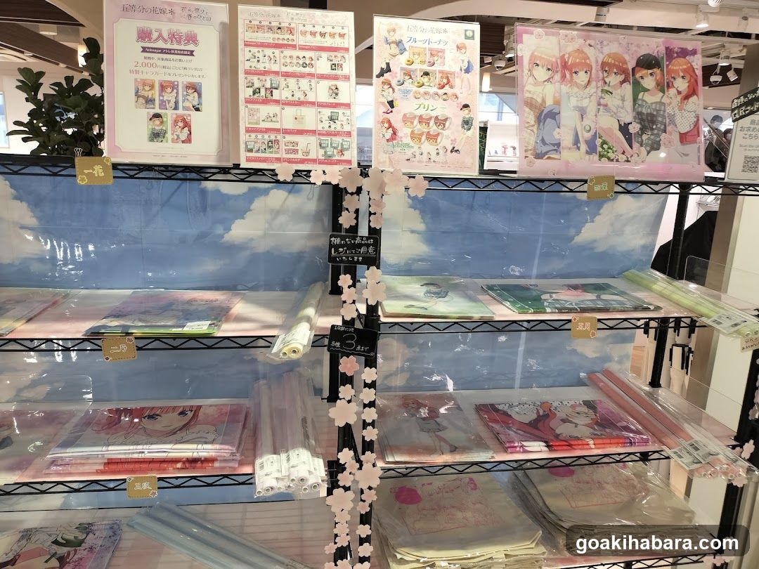Anime Merchandise Display Shelf