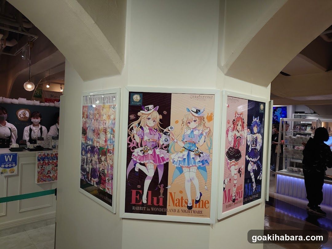 Anime Merchandise Display