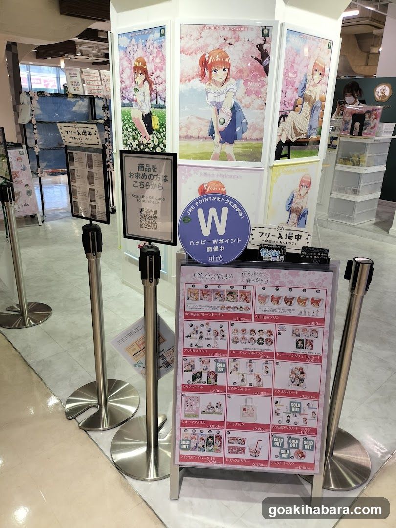 Anime Merchandise Display