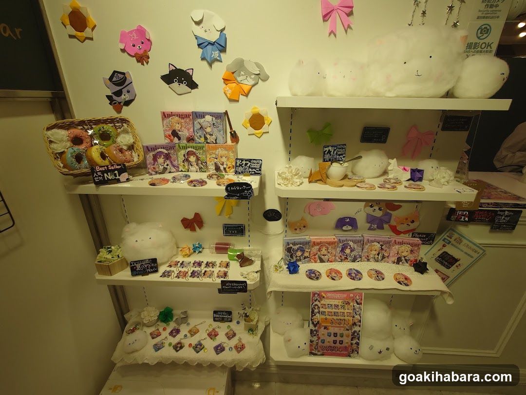 Merchandise Display Shelf