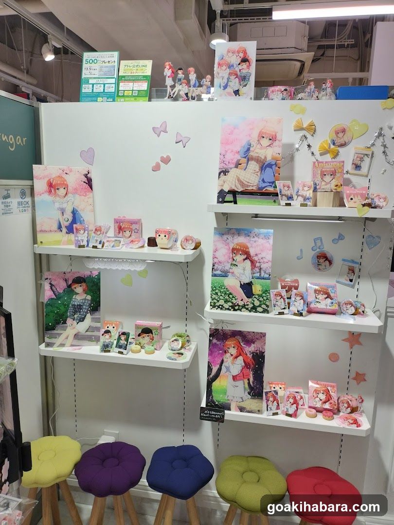Anime Merchandise Display