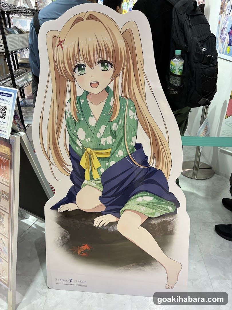 Anime Character Cutout Display