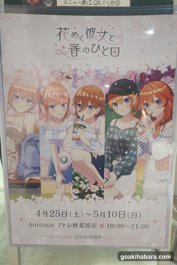 Anime Event Poster