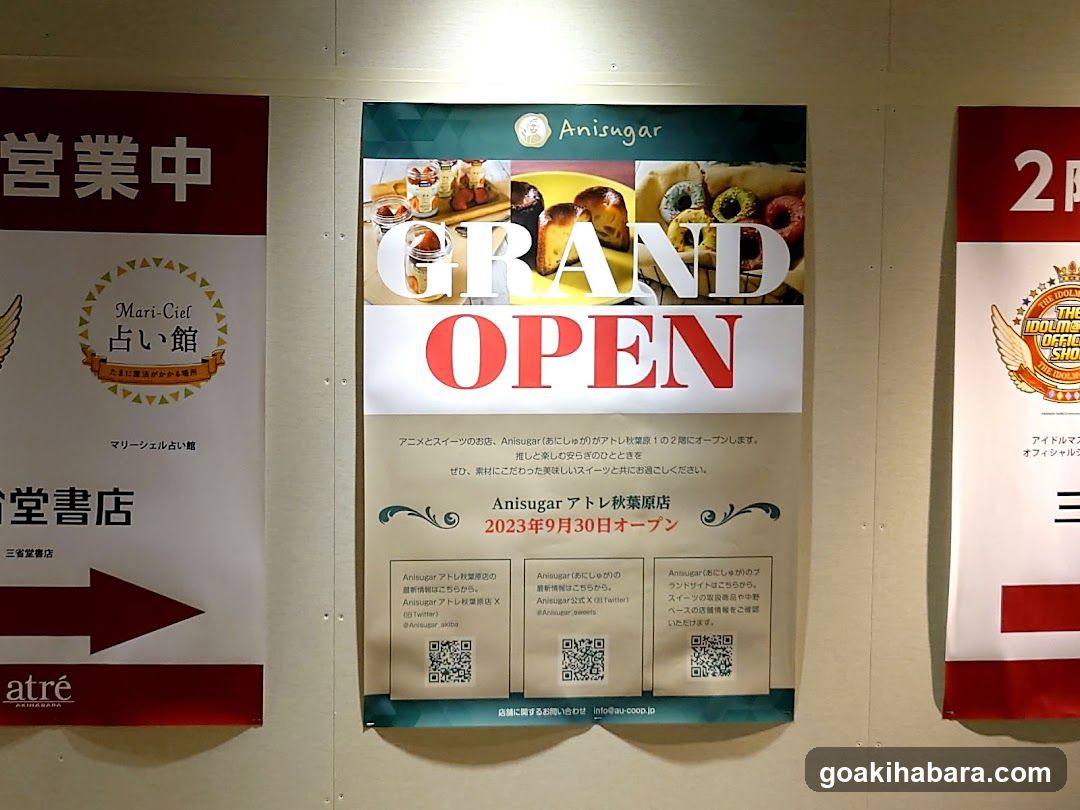 Anisugar Grand Open Poster
