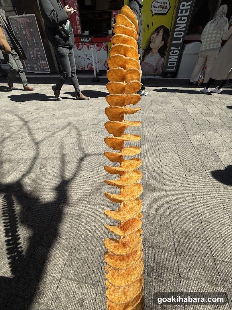 Stack of Potato Chips