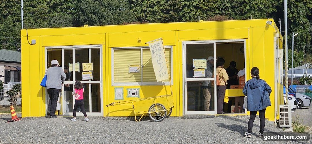 Yellow Shop Front with Customers