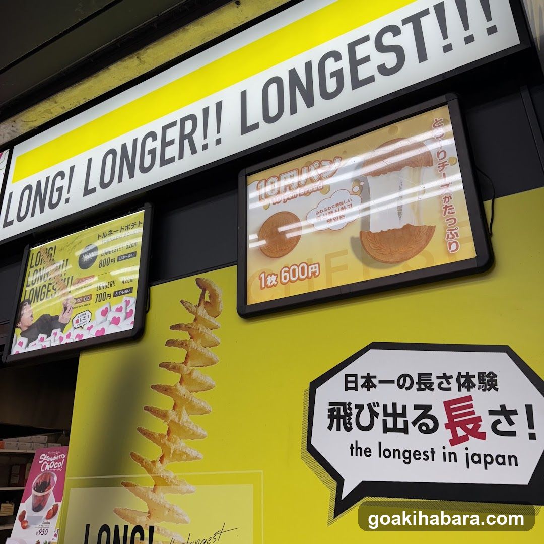 Longest Chips Advertisement