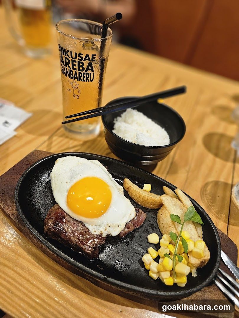 Steak and Rice Meal