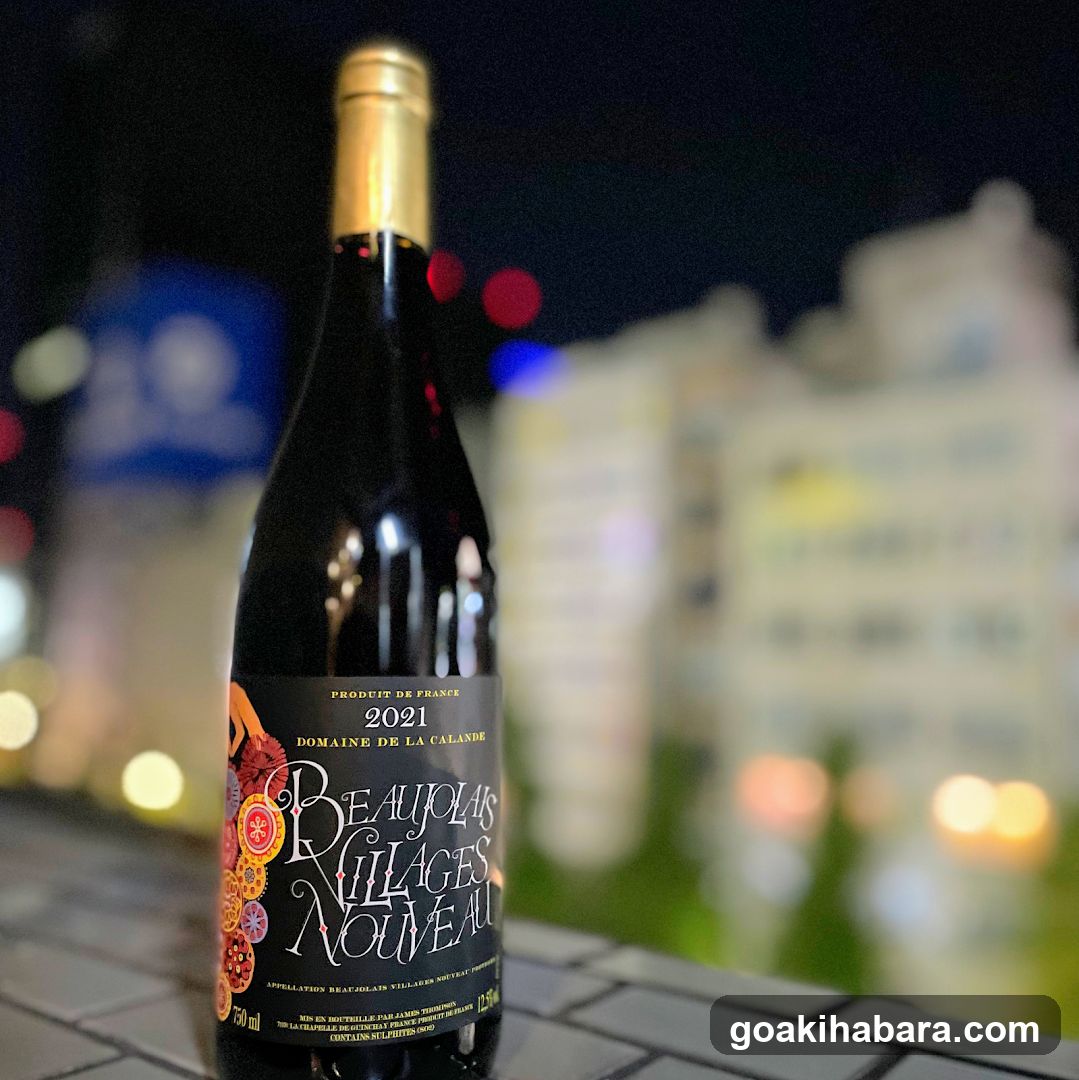 Burgundy Wine Bottle Night Shot