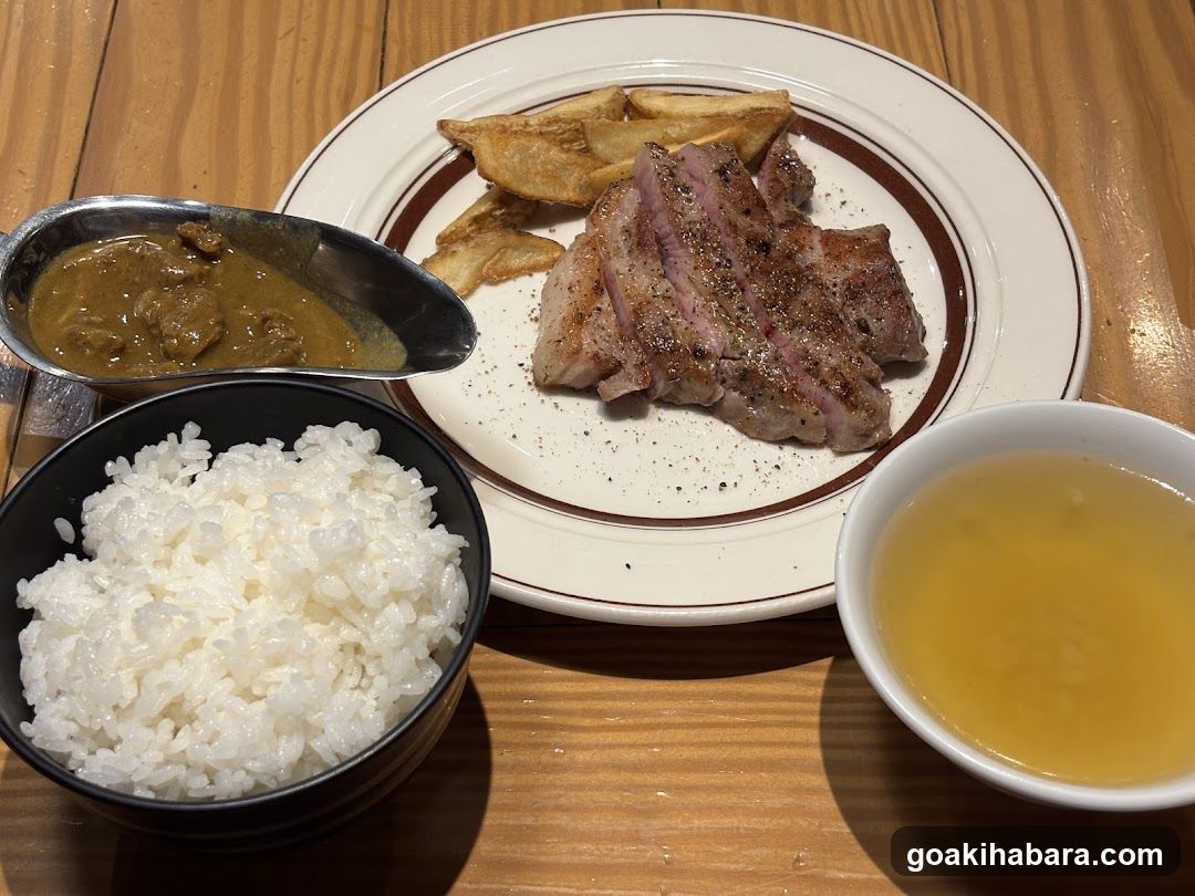 Steak and Rice Meal