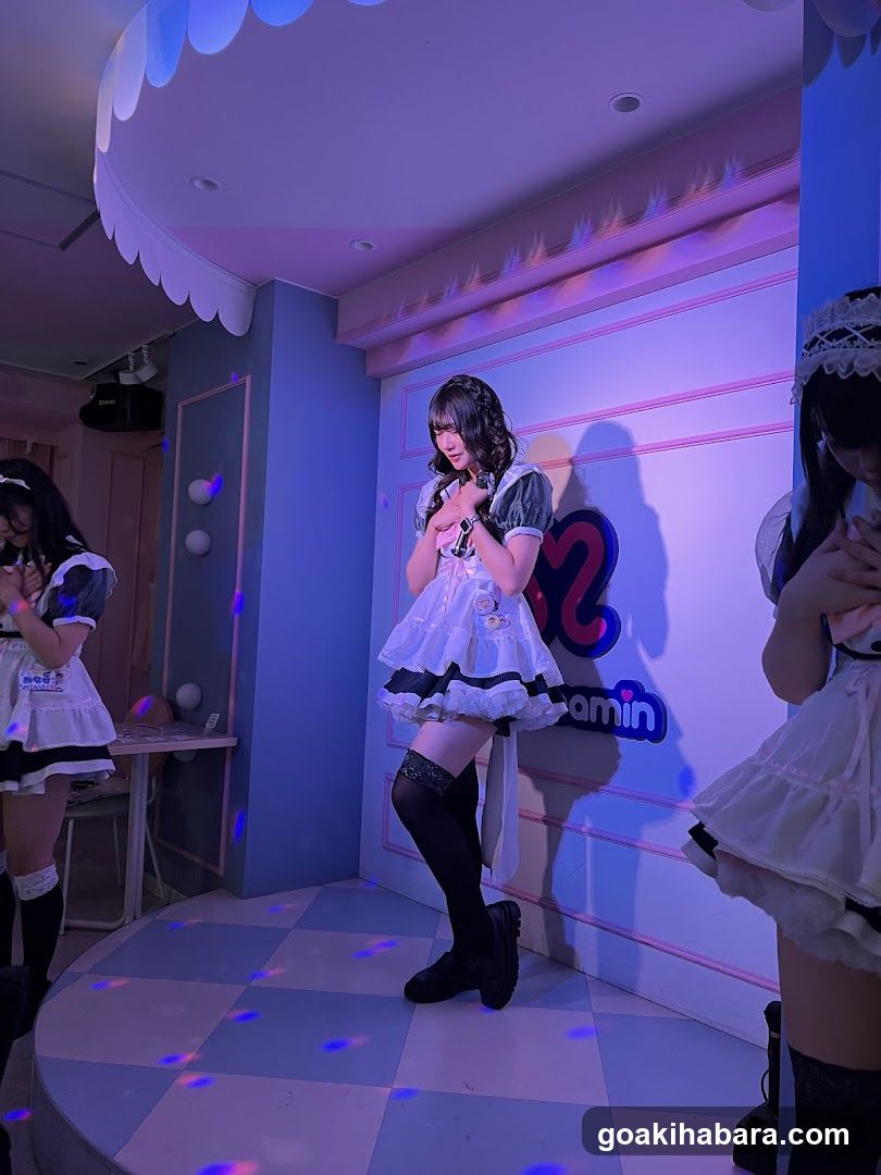Maid Cosplay Scene
