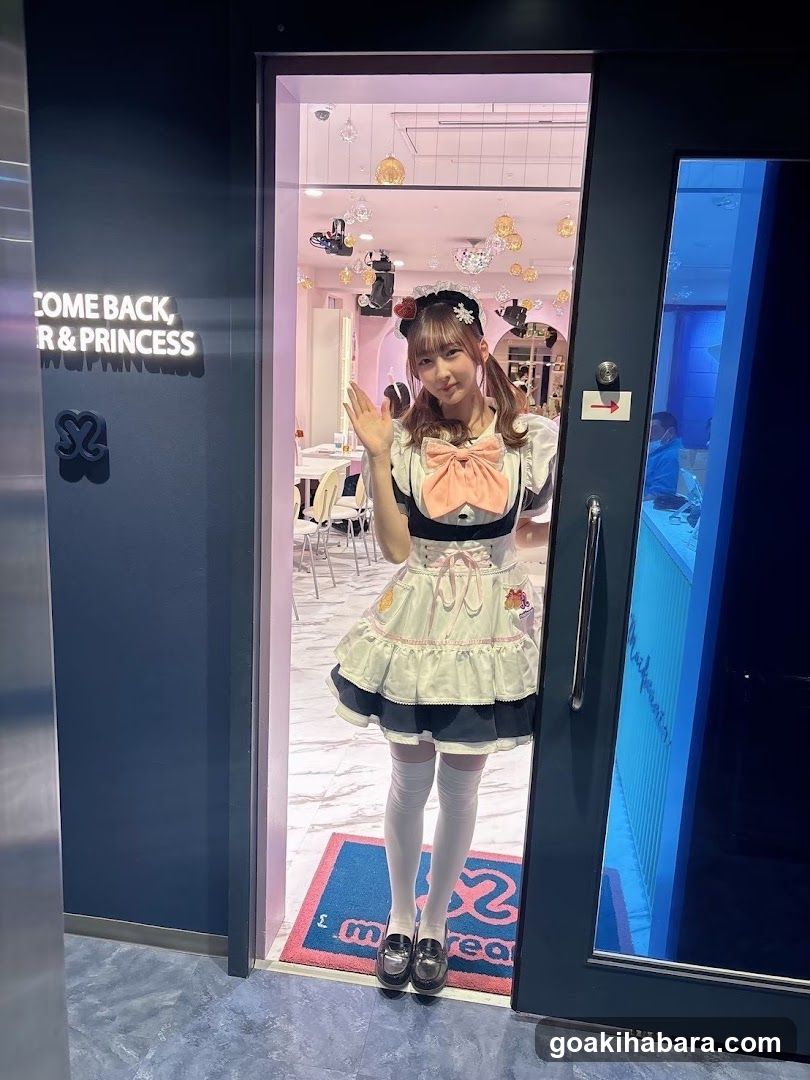 A person in a maid outfit stands at the entrance of a shop with pink interior decor and hanging decorations. The sign reads 'WELCOME BACK, SIR & PRINCESS' on the left side.