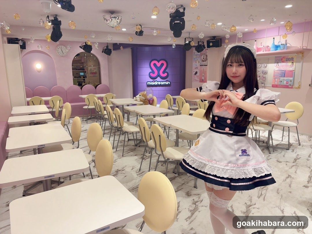 Maidreamin Cafe Interior with Staff Member