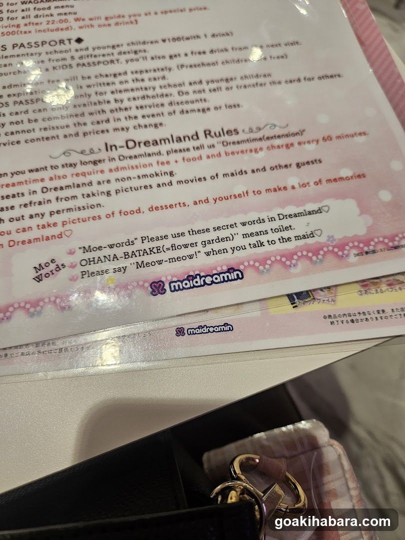 Maidreamin Rules and Info Card