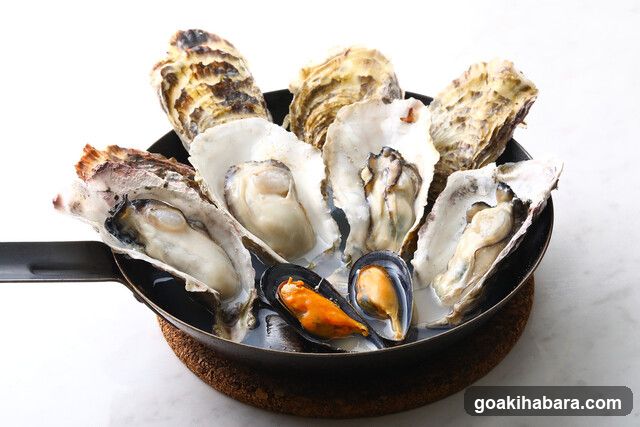 Oysters in a Pan