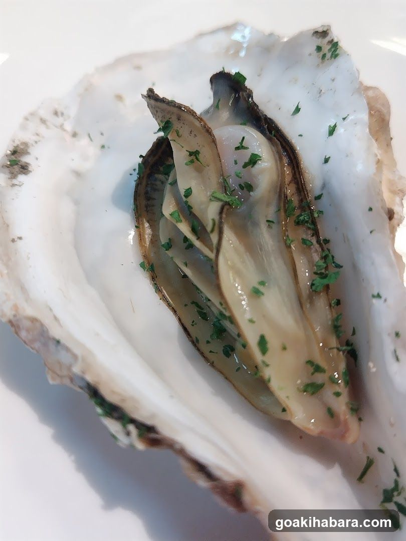 Oyster on Shell
