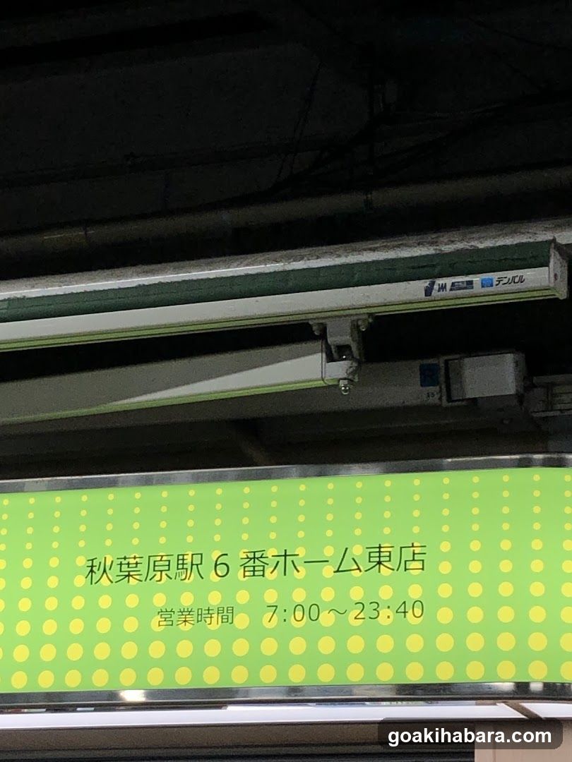Akihabara Station 6th Platform East Store Sign