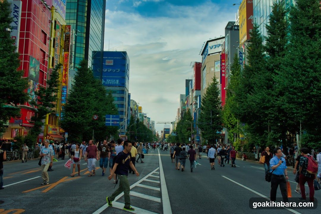 Busy Street Scene in Japan