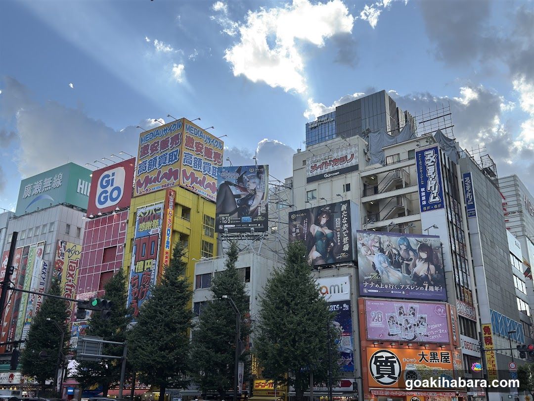 Anime and Manga Advertisements in Urban Japan