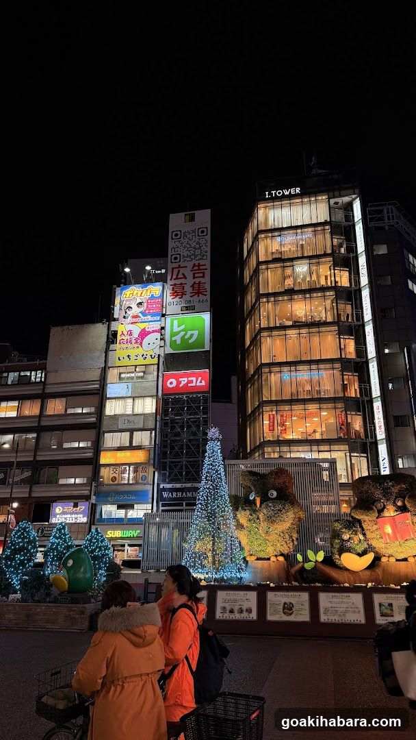Night City Scene with Decorations