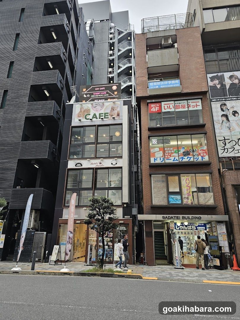 Urban Street Scene with Buildings and Shops