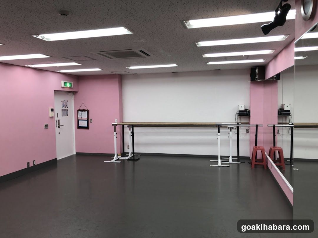 秋葉原ブルーハス レンタルスタジオ