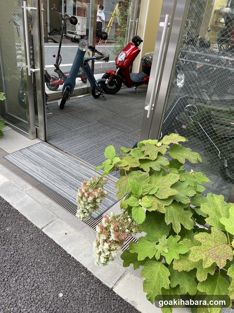 原ちゃり電ちゃり秋葉原