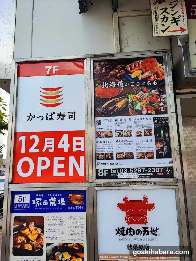 Shintoku Tsukada Nojo Akihabara Manseibashi