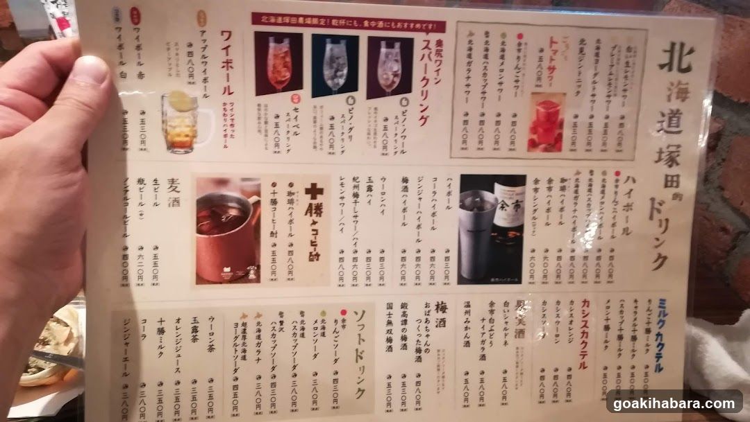 Shintoku Tsukada Nojo Akihabara Manseibashi
