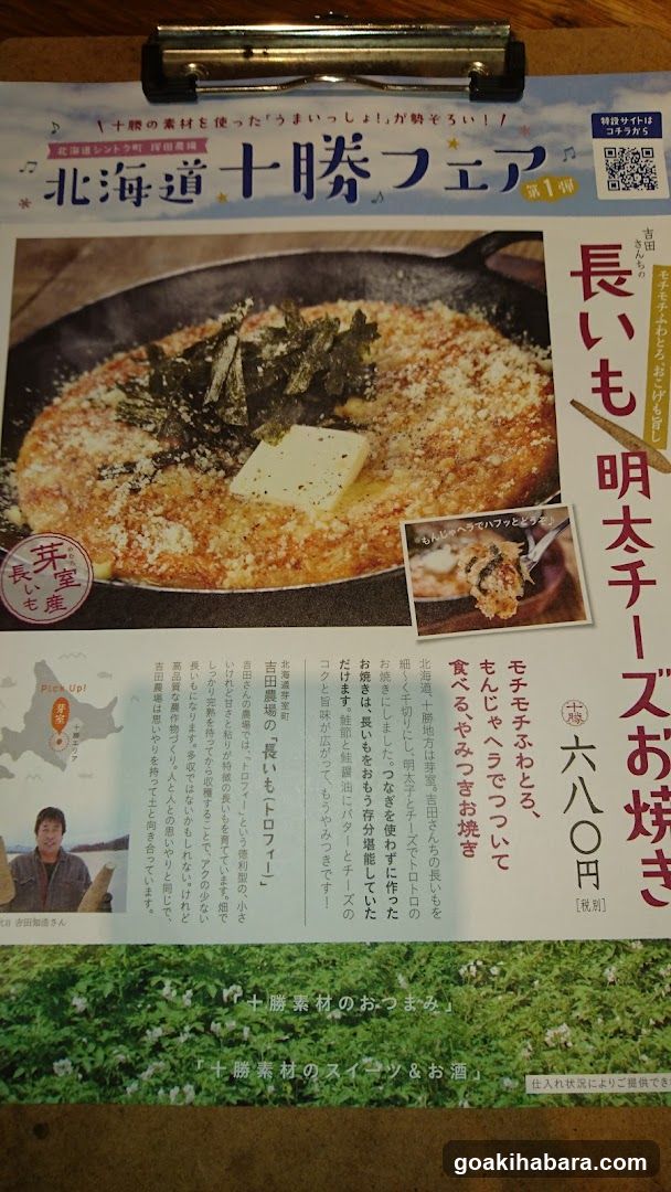 Shintoku Tsukada Nojo Akihabara Manseibashi