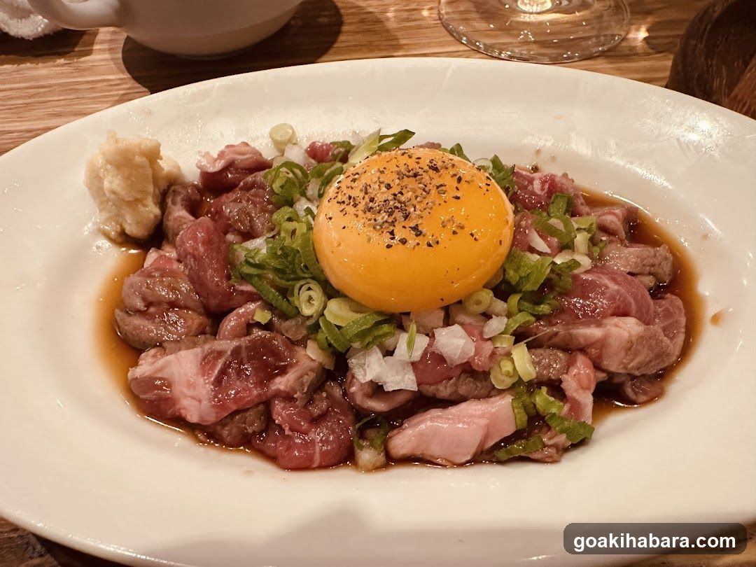 Shintoku Tsukada Nojo Akihabara Manseibashi