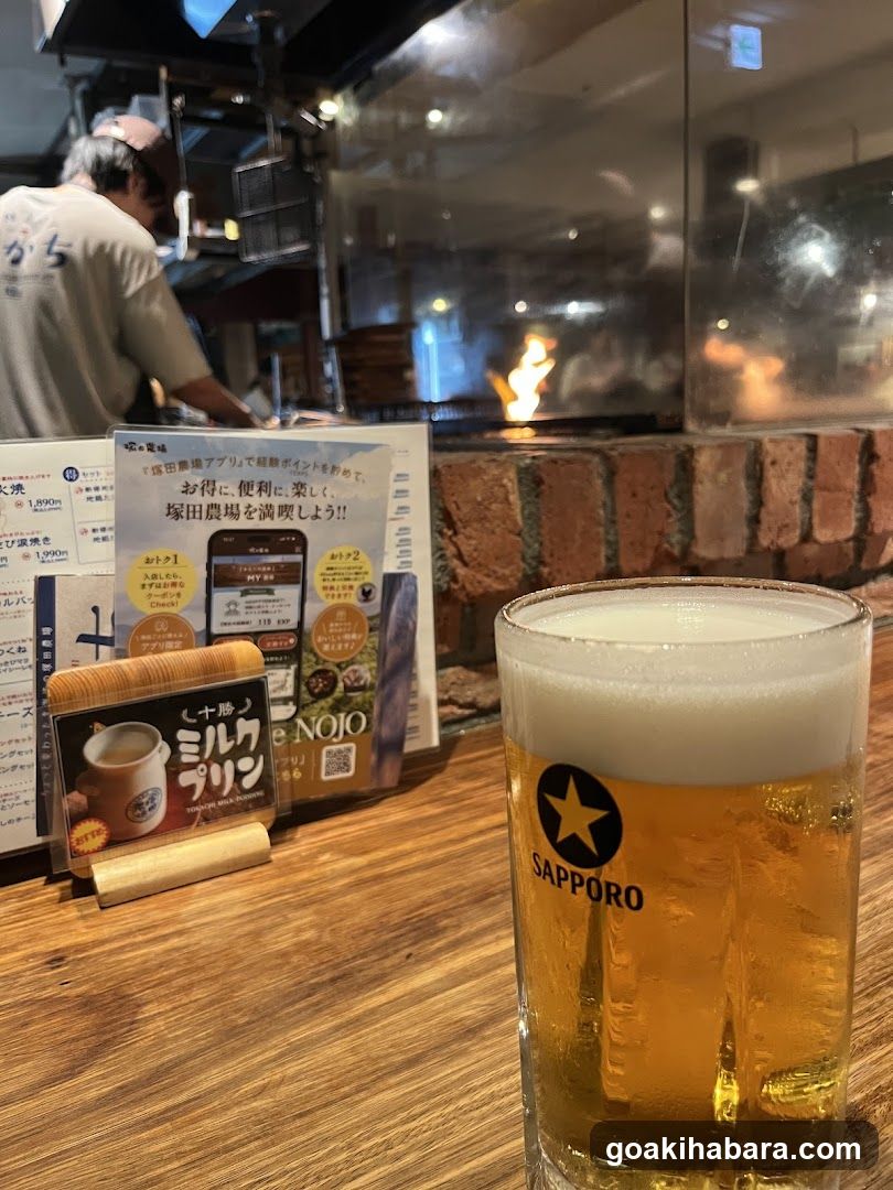 Shintoku Tsukada Nojo Akihabara Manseibashi