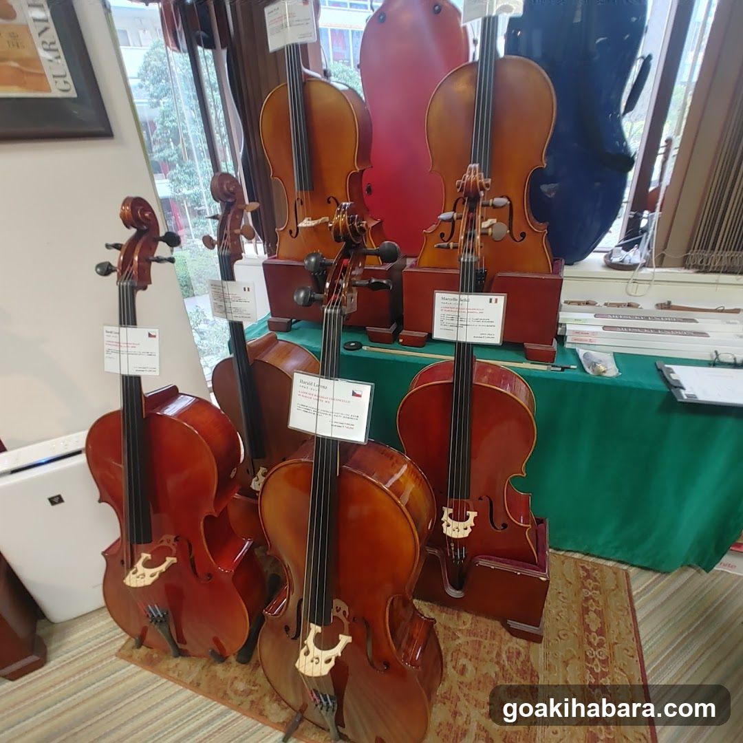 Shimamura Music Shimamura Strings Akihabara