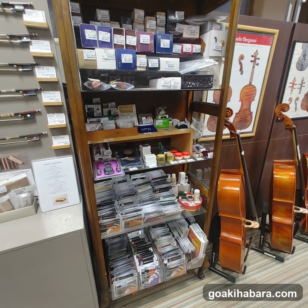Shimamura Music Shimamura Strings Akihabara
