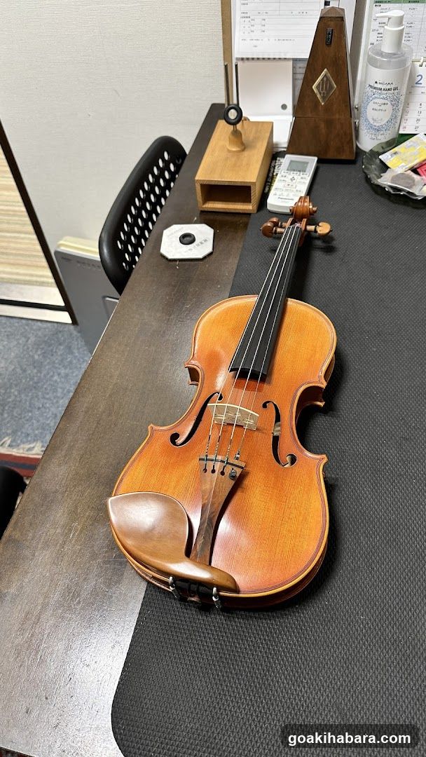 Shimamura Music Shimamura Strings Akihabara