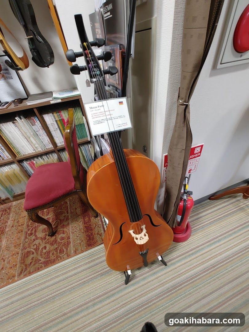 Shimamura Music Shimamura Strings Akihabara