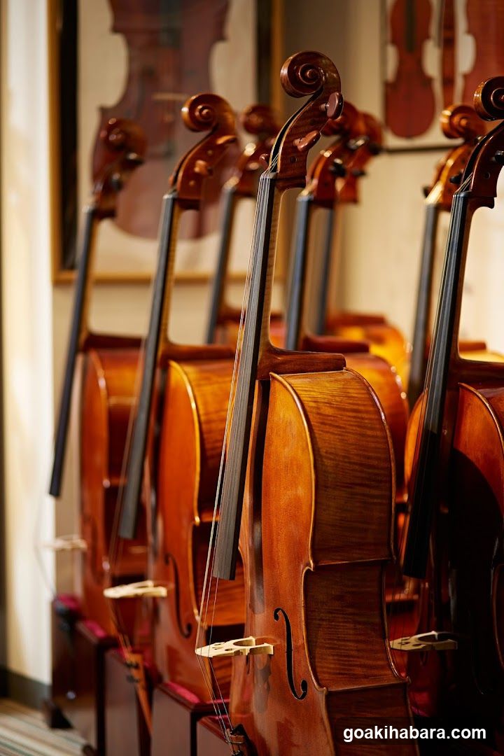 Shimamura Music Shimamura Strings Akihabara