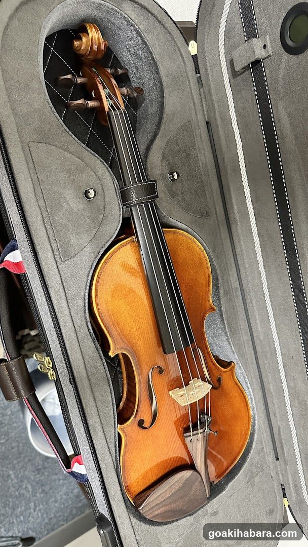 Shimamura Music Shimamura Strings Akihabara